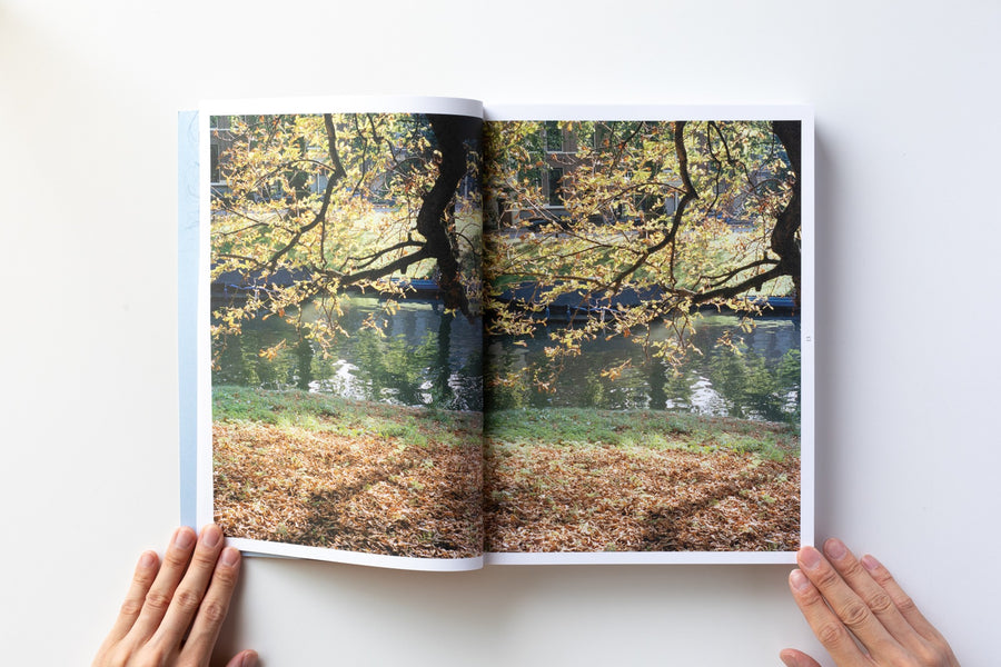 (Signed) A Swimming Pool by Michele Tagliaferri