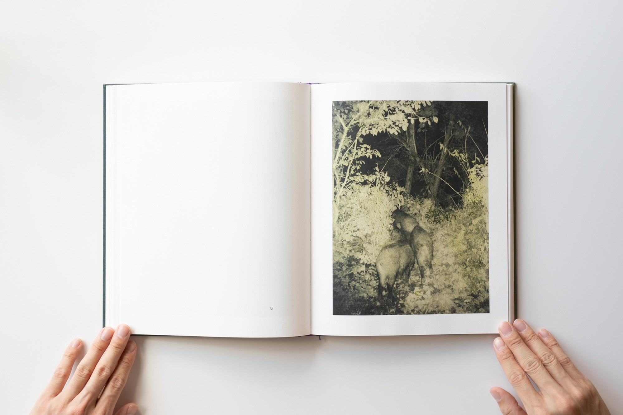 Signed) Night Procession by Stephen Gill – IACK