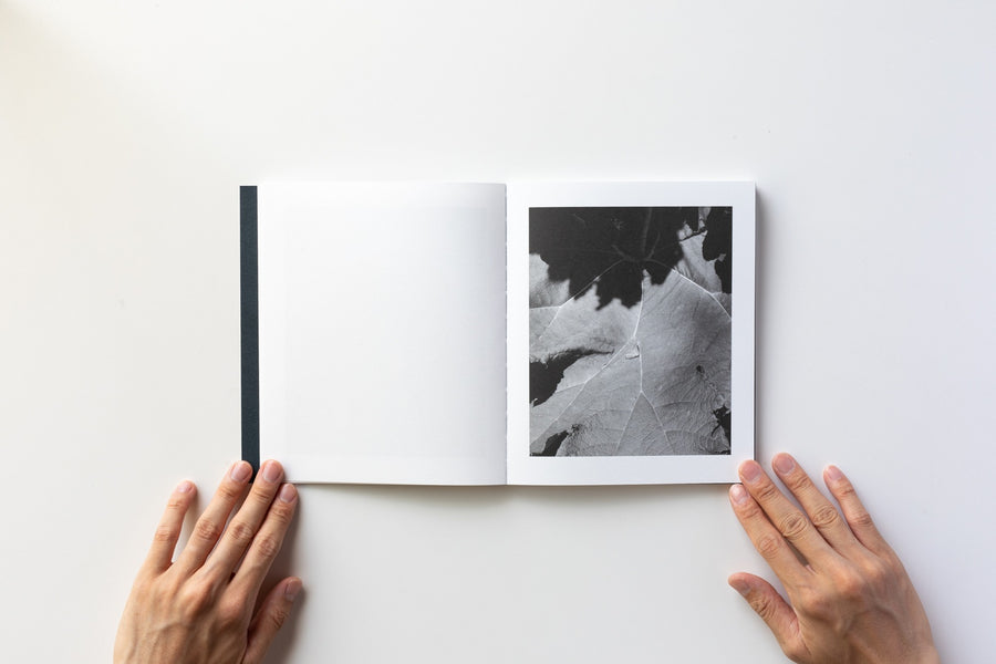 <tc>(Signed) Vague de rêve by Maria Baoli</tc>