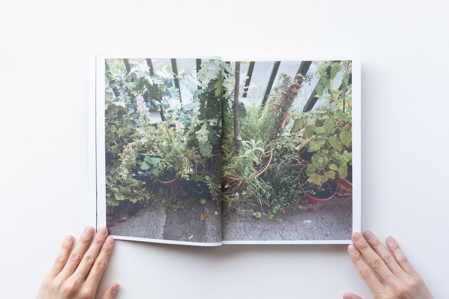 WOLFGANG TILLMANS by Wolfgang Tillmans