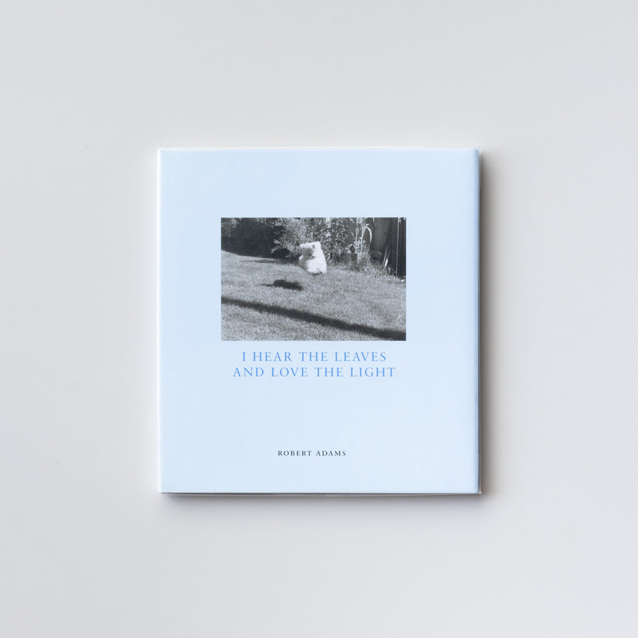 (Signed) I Hear The Leaves And Love The Light Sally in the Back Yard by Robert Adams