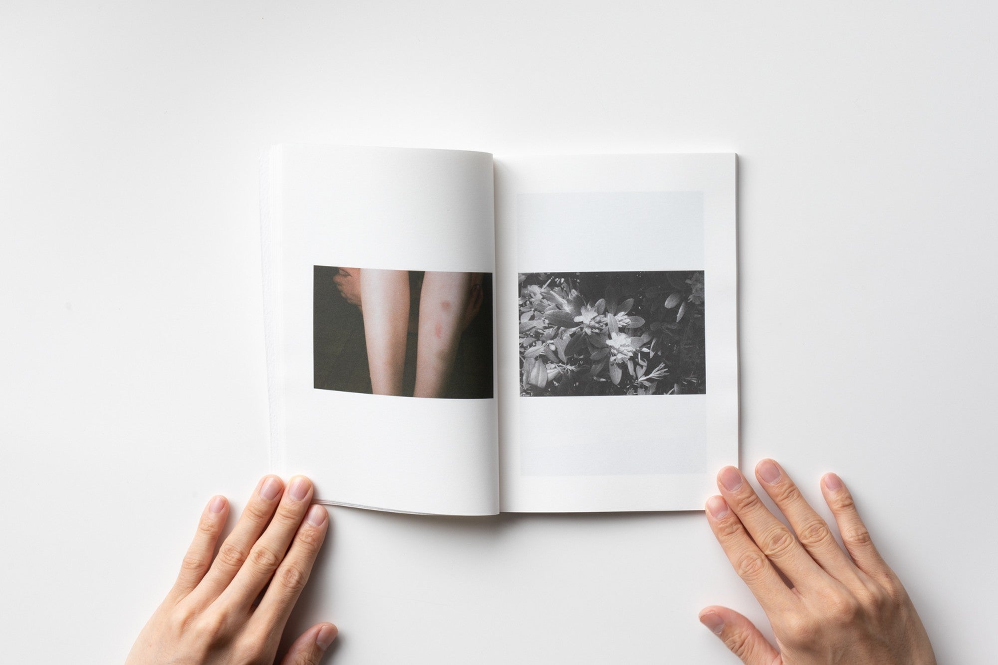 【限定品】Lina Scheynius Photo Books 11冊セット f75142349316658deebe29b30382c9