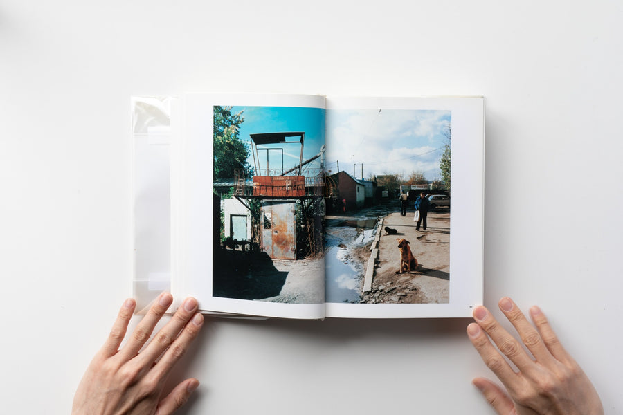 Case History by Boris Mikhailov