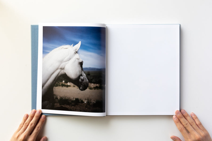 ZZYZX by Gregory Halpern